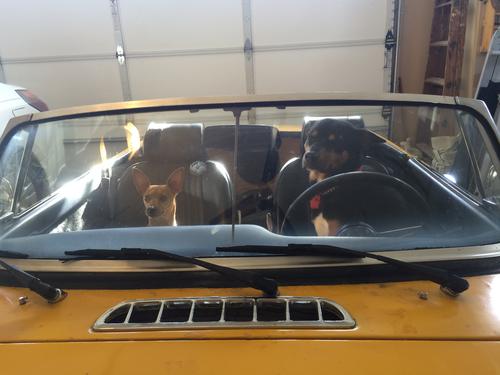 dvanzuiden Dave VanZuiden