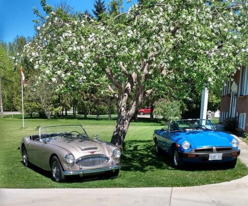 Muldoonk Kevin Muldoon