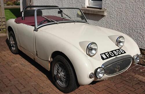 DavidLt David Lippiatt