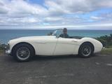 1958 Austin Healey 100 Six Old English White David Halliday