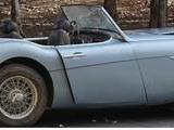1958 Austin Healey 100 Six Healey Blue David Bird