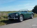 1955 Austin Healey 100 Spruce Green Marco De Knikker